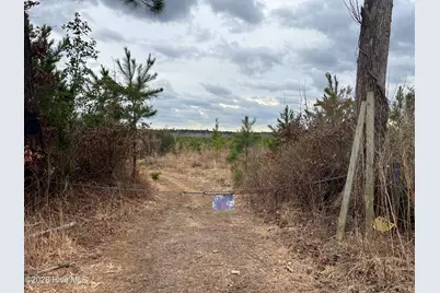 943 Off 943 Governors Rd Nc 308 Road, Windsor, NC 27983 - Photo 15
