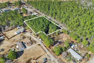 66 Tree Top Ct, Hampstead, NC 28443 - Photo 1