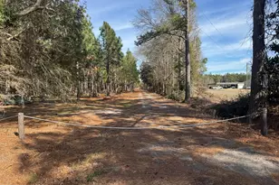 0 Butler Mill Rd, Bladenboro, NC 28320 - Photo 1