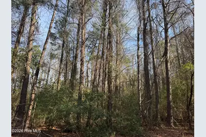 0 Butler Mill Road, Bladenboro, NC 28320 - Photo 5
