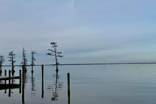 454 Beech Bay Rd, Roper, NC 27970 - Photo 35