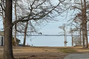 454 Beech Bay Rd, Roper, NC 27970 - Photo 39