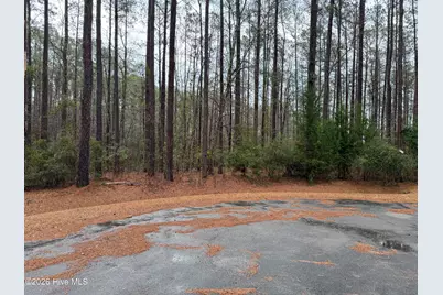 180 Tall Pines Drive, Oriental, NC 28571 - Photo 15