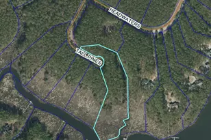 180 Tall Pines Dr, Oriental, NC 28571 - Photo 1