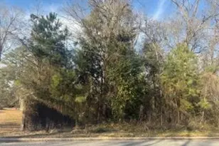 002224 E Near 217 E Clay St, Whiteville, NC 28472 - Photo 1