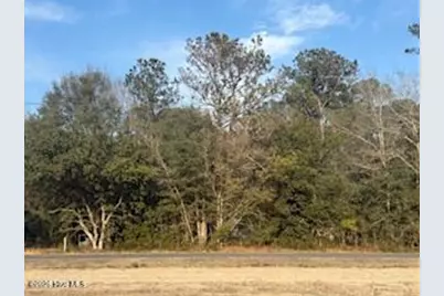 120 Rough Horn Road, Evergreen, NC 28438 - Photo 1