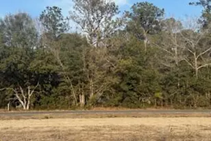 Tbd Tbd Rough Horn Rd, Evergreen, NC 28438 - Photo 1