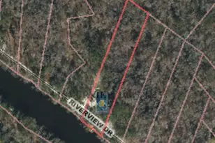 815 Riverview Dr, Burgaw, NC 28425 - Photo 79