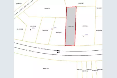 7561 Nc 211, West End, NC 27376 - Photo 3