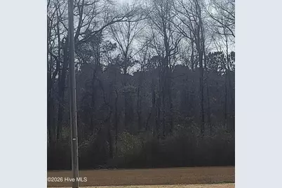 [Address not provided], Willard, NC 28478 - Photo 5