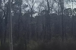 [Address not provided], Willard, NC 28478 - Photo 5