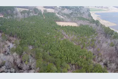 0 Morning Star Church Road, Battleboro, NC 27809 - Photo 19