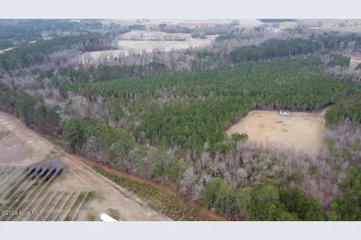 0 Morning Star Church Road, Battleboro, NC 27809 - Photo 11