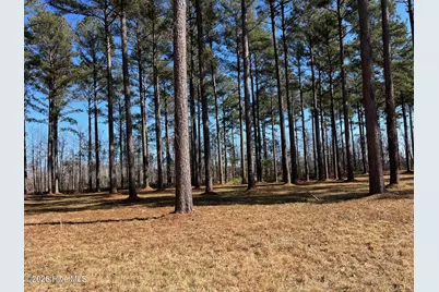 40 Currituck Court, Oriental, NC 28571 - Photo 3