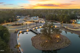 3407 Discovery Bay Rd, Shallotte, NC 28470 - Photo 31