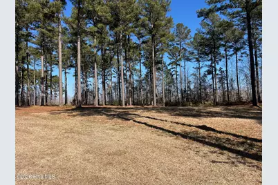 2 Bald Head Island Court S, Oriental, NC 28571 - Photo 5