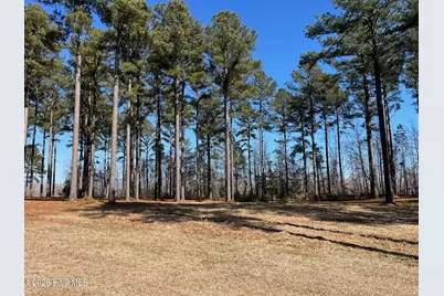 2 Bald Head Island Court S, Oriental, NC 28571 - Photo 7