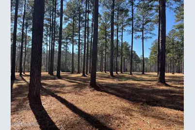 2 Bald Head Island Court S, Oriental, NC 28571 - Photo 11