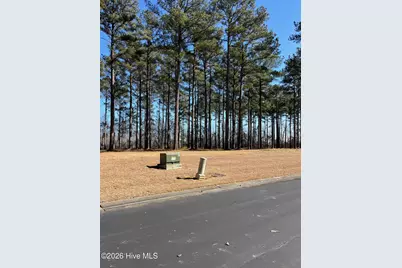 2 Bald Head Island Court S, Oriental, NC 28571 - Photo 13