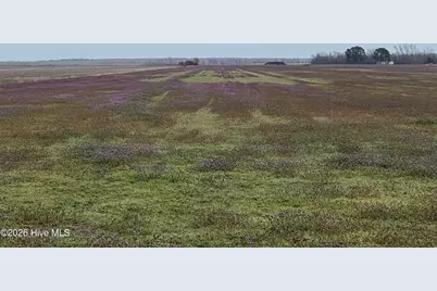 0 Nc 99, Pantego, NC 27860 - Photo 13