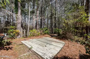 205 Dobbs Spaight Rd, New Bern, NC 28562 - Photo 43