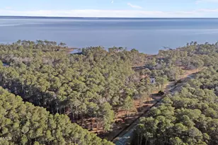 33 Neuse Winds Dr, Oriental, NC 28571 - Photo 51