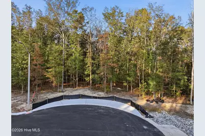 1041 Brooke Ridge Lane, Southport, NC 28461 - Photo 5