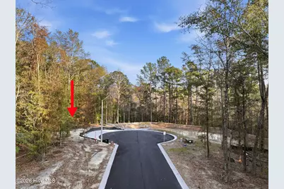 1041 Brooke Ridge Lane, Southport, NC 28461 - Photo 3