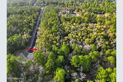 1041 Brooke Ridge Lane, Southport, NC 28461 - Photo 11