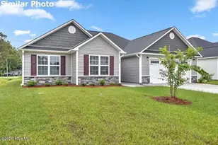 701 Puppy Drum Ln, Maysville, NC 28555 - Photo 15