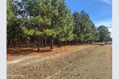0 Butler Mill Road Road, Bladenboro, NC 28320 - Photo 1