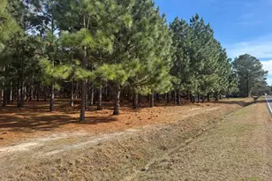 0 Butler Mill Road Rd, Bladenboro, NC 28320 - Photo 1