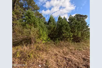 353 Piney Green Road, Jacksonville, NC 28546 - Photo 5