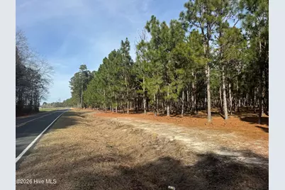 0 Butler Mill Road, Bladenboro, NC 28320 - Photo 1