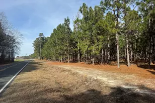 0 Butler Mill Rd, Bladenboro, NC 28320 - Photo 1
