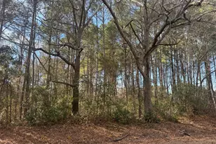 0 Butler Mill Rd, Bladenboro, NC 28320 - Photo 1