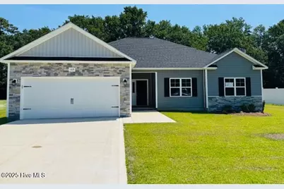 115 Molly Rice Branch Court, Jacksonville, NC 28546 - Photo 1