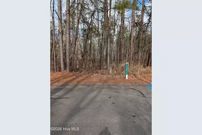 102 Bancroft Court, West End, NC 27376 - Photo 3