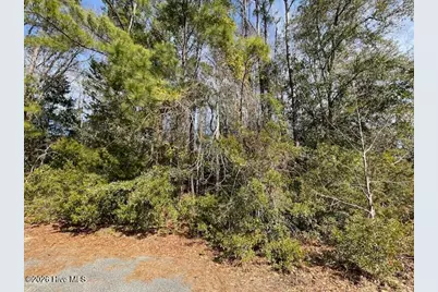 38 Lot Cedar Find Cove, Wilmington, NC 28411 - Photo 1
