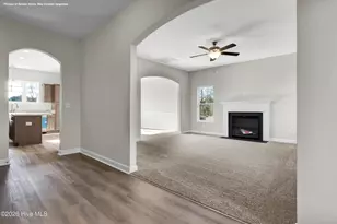 301 Cotton Hl Pl, Hubert, NC 28539 - Photo 3