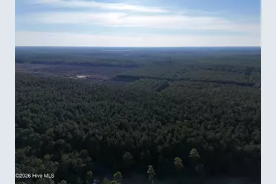 40 Acres Haw Branch Road, Beulaville, NC 28518 - Photo 7