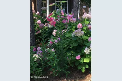 4496 Lenox Court SE, Southport, NC 28461 - Photo 85