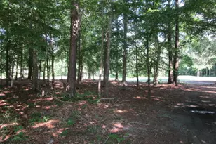 Lot 1 Roanoke Dr W, Hertford, NC 27944 - Photo 1