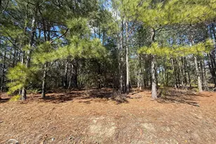 Tbd Mizpah Rd, Rockingham, NC 28379 - Photo 1