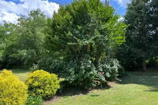 707 McMullan Ave, Edenton, NC 27932 - Photo 47