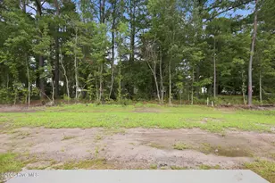 2329 Rhinestone Dr, Winterville, NC 28590 - Photo 41