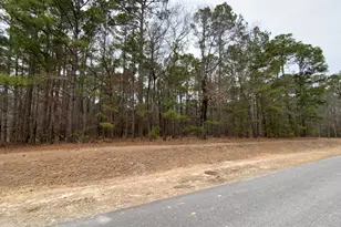 101 Long Leaf Lane, Goldsboro, NC 27534 - Photo 1