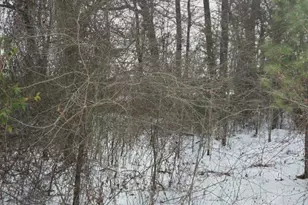 101 Esterville Rd, Elizabethtown, NC 28337 - Photo 3