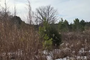 101 Esterville Rd, Elizabethtown, NC 28337 - Photo 7