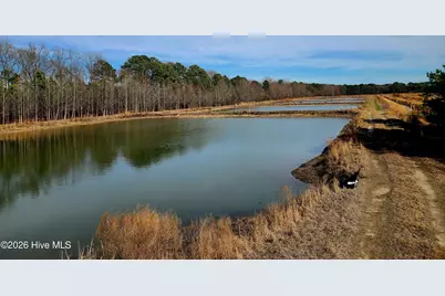 2424 Thompson Avenue, Turkey, NC 28393 - Photo 17